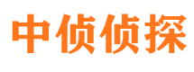 陈仓市侦探调查公司